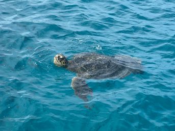 Private BYOB Catamaran Cruise for Your Party image 10