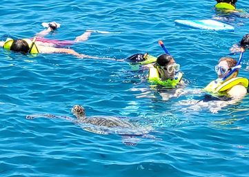 Private BYOB Catamaran Cruise for Your Party image 15