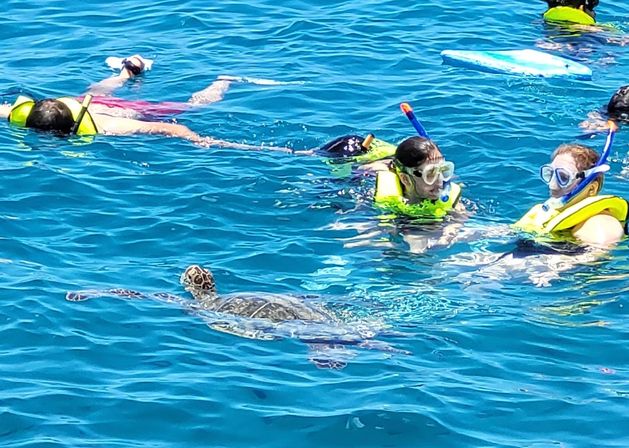 Private BYOB Catamaran Cruise for Your Party image 15