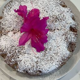 Round powdered-sugar dusted cake garnished with a vivid pink flower on a white plate over a marble countertop