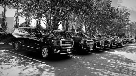 Row of sleek black SUVs parked in a tree-lined parking lot with sun-dappled pavement and long shadows