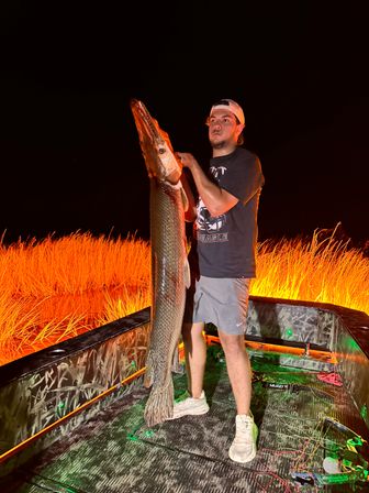 Night fishing: angler on a camo boat holding a giant alligator gar upright beside glowing marsh grasses