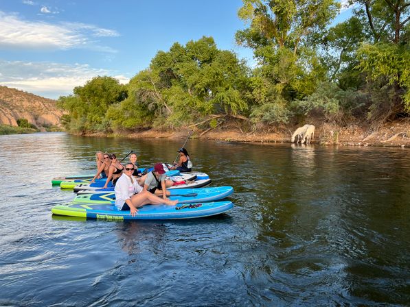 Group of friends relaxing on colorful paddleboards on a calm river, scenic tree-lined shoreline and two horses drinking at the water’s edge during golden-hour