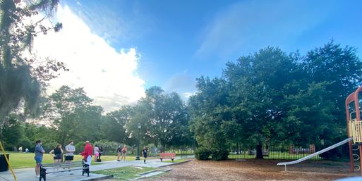 Neighborhood park playground with people gathered near benches and a slide beneath large leafy trees and a bright blue sky
