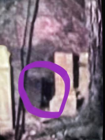 Grainy nighttime backyard photo of a wooden fence with a purple circle highlighting a dark, humanoid-shaped shadow or figure near the fence posts.