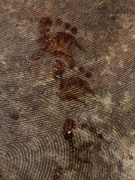 Close-up of a rustic wood surface showing pronounced grain rings, textured wear and dark reddish-brown drip stains