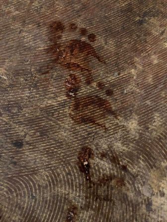 Close-up of a rustic wood surface showing pronounced grain rings, textured wear and dark reddish-brown drip stains