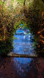 Ivy-covered archway with twinkling string lights framing a wet brick walkway and rain-slick residential street with parked cars reflected in puddles.