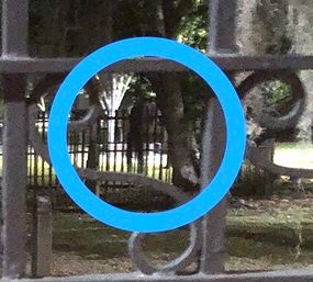Blue circular decal on glass framing an iron fence with trees and grassy park beyond