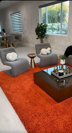 Contemporary living room with two gray sculptural lounge chairs and white knot pillows, brass side table and glossy black coffee table on a vibrant orange shag rug, potted plant and large window letting in natural light.