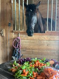 Curious black horse peering over a wooden stable door in a sunlit barn, eyeing a table of carrots, lettuce and grapes.