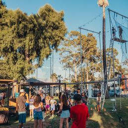 Sunlit community park scene with families gathered around a high-ropes/trapeze course; kids and adults watch participants climb a ladder to a platform framed by tall trees and a palm tree.