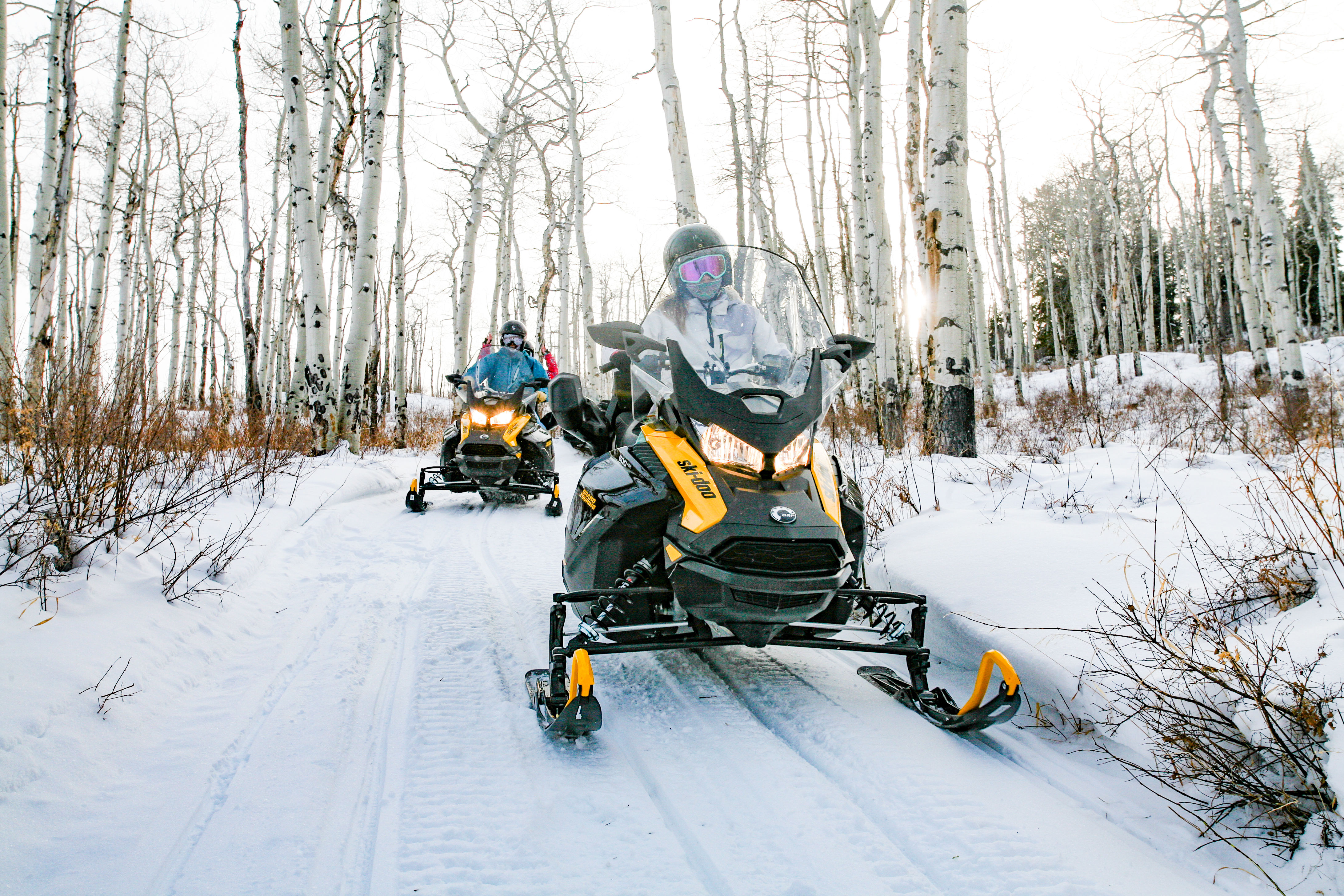 Two riders on yellow snowmobiles traverse a snowy trail through a stand of white aspen trees, headlights glowing in a crisp winter landscape.