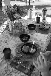 Alpaca Encounter + Outdoor Brunch Experience image 10