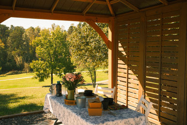 Alpaca Encounter + Outdoor Brunch Experience image 9