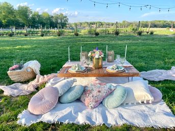 Chic pastel picnic setup on blankets with round cushions and low wooden table, candles, glassware and a wine bucket under string lights in a sunlit vineyard with rows of grapevines