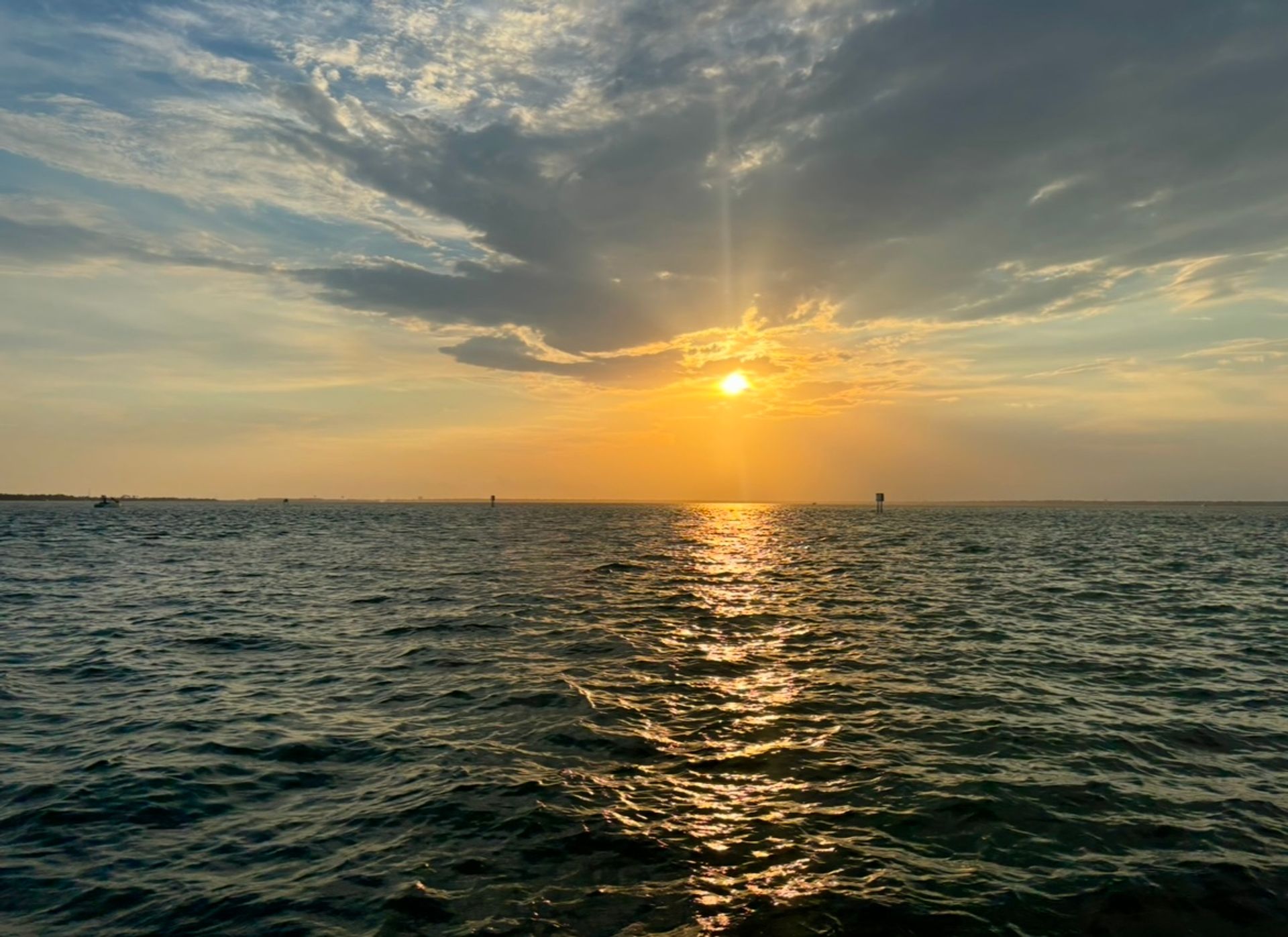 Sunset Harbor Cruise & Dolphin Spotting Adventure (BYOB) image 2