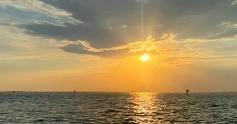 Sunset Harbor Cruise & Dolphin Spotting Adventure (BYOB) image 6
