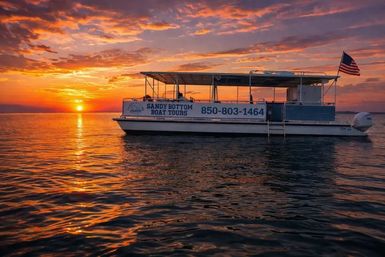 Sunset Harbor Cruise & Dolphin Spotting Adventure (BYOB) image 3