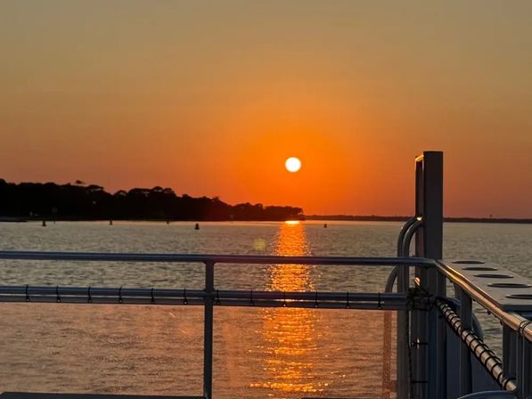 Sunset Harbor Cruise & Dolphin Spotting Adventure (BYOB) image 5