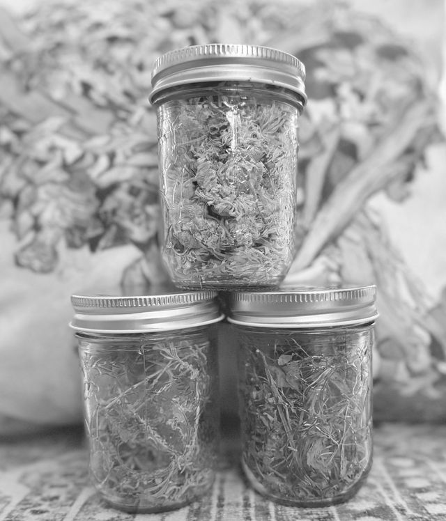Private Botanical Wellness & Mindful Tea Creation Experience image 3
