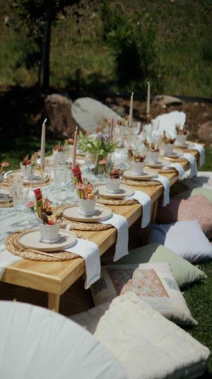 Mod Picnic (for any celebration)