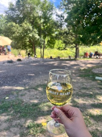 Hand holding a glass of chilled white wine at an outdoor wine-tasting area, sunny grassy vineyard setting with trees and picnic tables in the background.