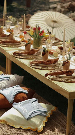 Mod Picnic (for any celebration)