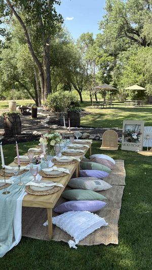 Mod Picnic (for any celebration)