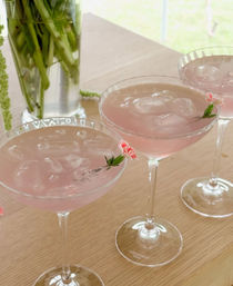 Mobile Bar Service in the Charleston Area image 34