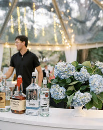 Mobile Bar Service in the Charleston Area image 25