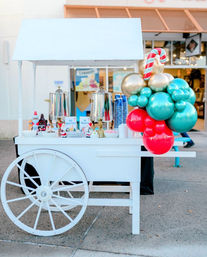 Mobile Bar Service in the Charleston Area image 36