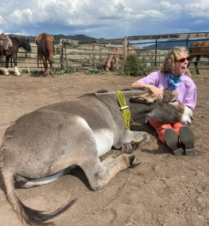 Person laughing in a dusty ranch corral, cuddling a large gray donkey resting its head on their lap, horses and hills under a cloudy sky.