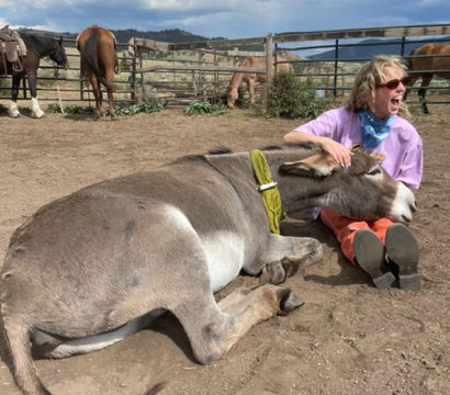 Person laughing in a dusty ranch corral, cuddling a large gray donkey resting its head on their lap, horses and hills under a cloudy sky.