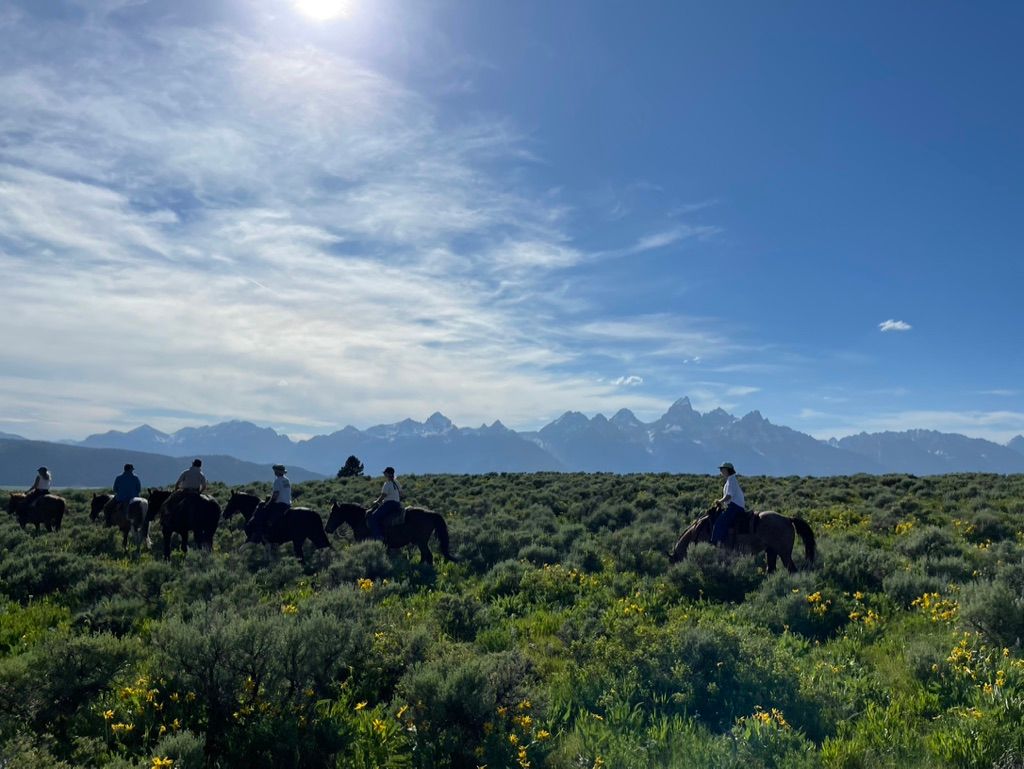 Sunlit group of horseback riders crossing a sagebrush meadow dotted with yellow wildflowers, with a bright blue sky and jagged snow-capped mountain range on the horizon.