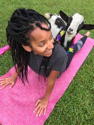 Person smiling during outdoor goat yoga on a pink mat in green grass, small black-and-white goat wearing a flower lei perched on their back