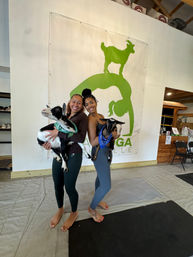 Two women barefoot on yoga mats holding small black-and-white goats during an indoor goat yoga session, smiling in front of a large green goat logo banner.