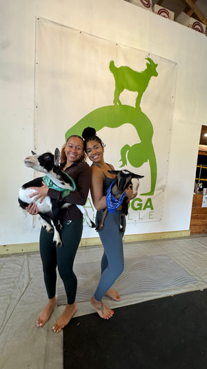 Two women barefoot on yoga mats holding small black-and-white goats during an indoor goat yoga session, smiling in front of a large green goat logo banner.