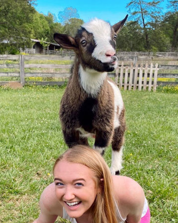 Smiling person in a sunny farm pasture with a playful brown-and-white baby goat standing on their back in front of a wooden fence and barn.