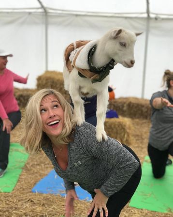 Playful white kid goat wearing a bandana and harness stands on the back of a smiling woman in a gray workout top during an indoor goat yoga session with hay bales and other participants on mats in the background.