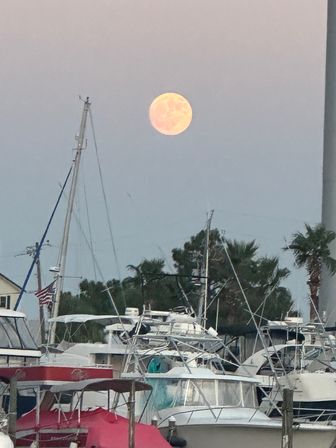 Full moon rising over a coastal marina at dusk, glowing above docked sailboats and motorboats with tall masts and palm trees against a soft pastel sky.
