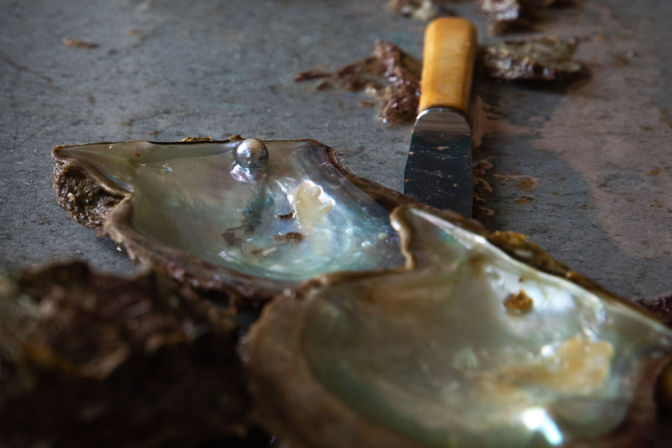 Close-up of opened oyster shells with a pearly iridescent interior and a small pearl peeking out, beside a yellow-handled shucking knife on a rustic metal surface — coastal seafood prep.
