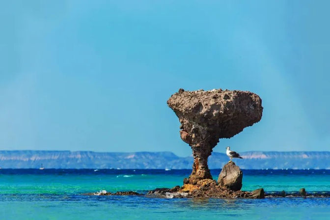 Mushroom-shaped coastal rock formation rising from turquoise sea with a seagull perched on a nearby rock and distant cliffs under a clear blue sky