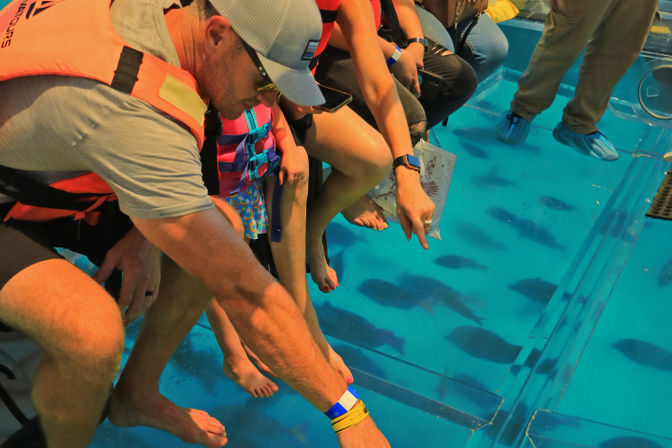 Passengers in life jackets on a glass-bottom boat pointing at dark fish below in clear turquoise tropical water — family-friendly boat tour scene.