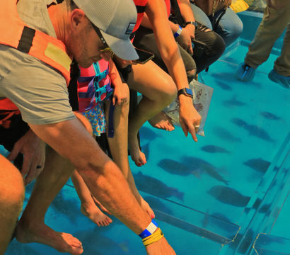 Passengers in life jackets on a glass-bottom boat pointing at dark fish below in clear turquoise tropical water — family-friendly boat tour scene.