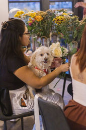Person holding a small fluffy white dog at an indoor flower-arranging workshop, surrounded by colorful bouquets in metal vases.