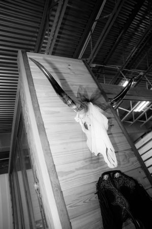 Black-and-white image of a mounted longhorn cattle skull with wide horns and a black tulle bow on a wood-paneled wall, rustic western decor under an exposed industrial ceiling.