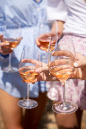 Close-up of hands holding rosé wine glasses in sunlight at a casual outdoor summer gathering