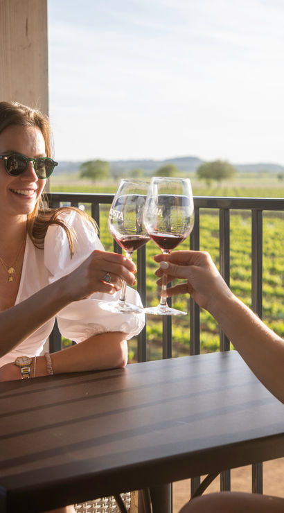 Two friends clinking red wine glasses on a sunny outdoor vineyard terrace during a relaxed wine tasting, with rows of grapevines in the background.