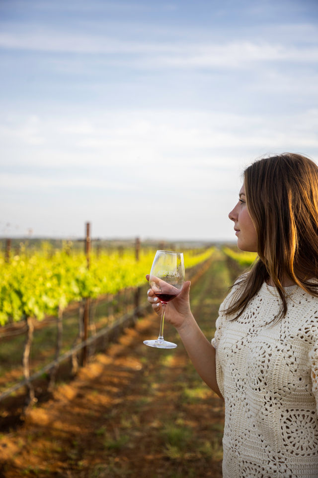 Person holding a glass of red wine during a vineyard wine tasting, standing among sunlit rows of green grapevines under a blue sky